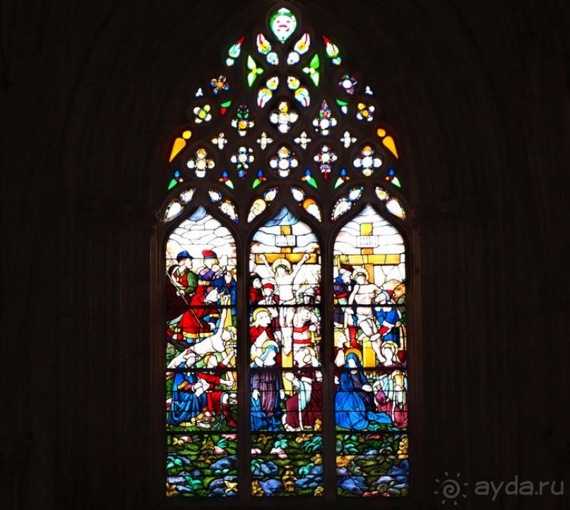 Битва и сюрпризы