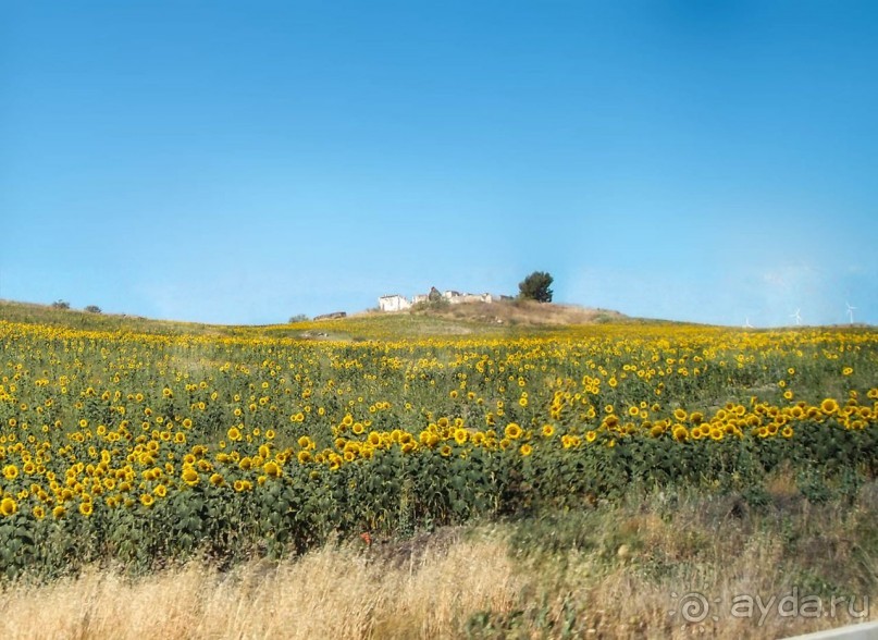 По Ла Манче, дорогами Дона Кихота