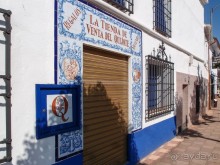 По Ла Манче, дорогами Дона Кихота