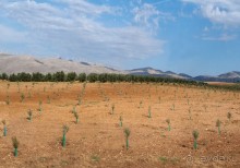 По Ла Манче, дорогами Дона Кихота