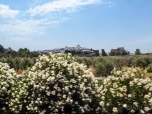 По Ла Манче, дорогами Дона Кихота