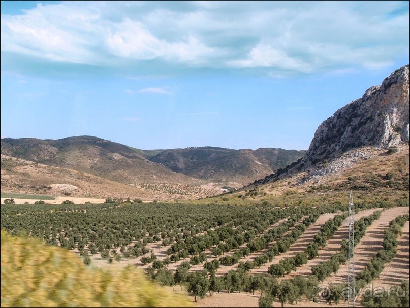 По Ла Манче, дорогами Дона Кихота