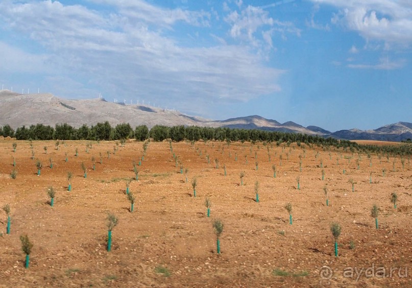 По Ла Манче, дорогами Дона Кихота