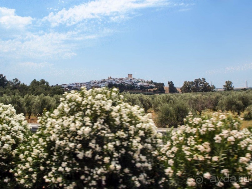 По Ла Манче, дорогами Дона Кихота