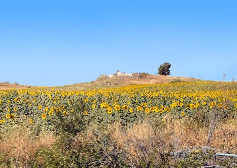 По Ла Манче, дорогами Дона Кихота