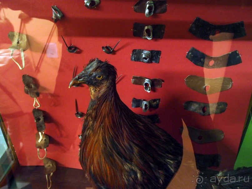 Маленькое путешествие во времени. Музей Фольклора