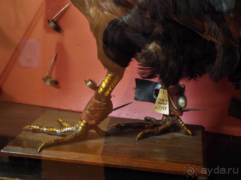 Маленькое путешествие во времени. Музей Фольклора