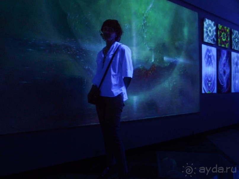 Альбом отзыва "Юрмала. Художественное отступление"