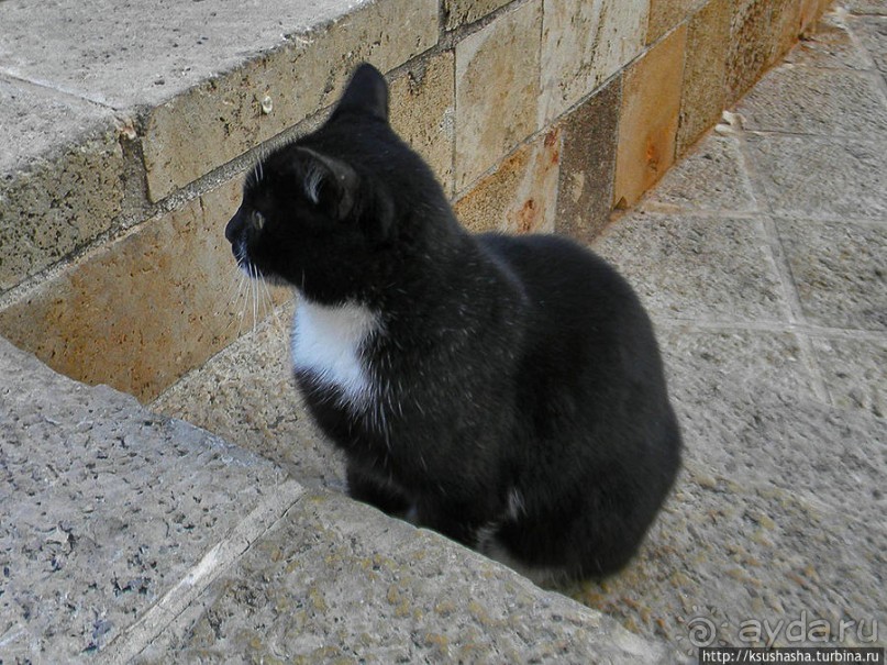 Альбом отзыва "Новый год в цветущем лете, где-то 200 лет назад"