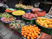 Альбом отзыва "Новый год в цветущем лете, где-то 200 лет назад"