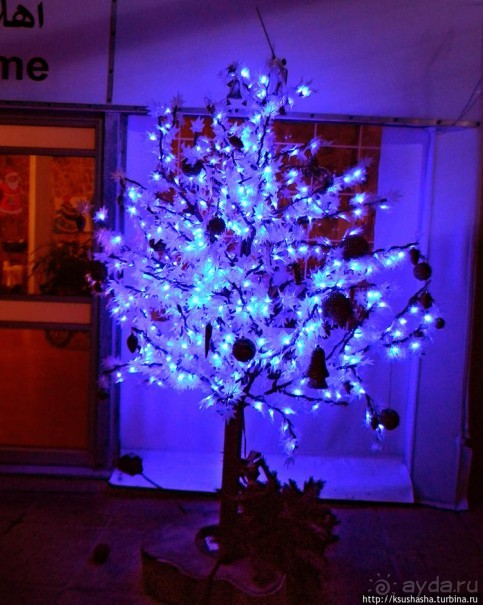 Новый год в цветущем лете, где-то 200 лет назад