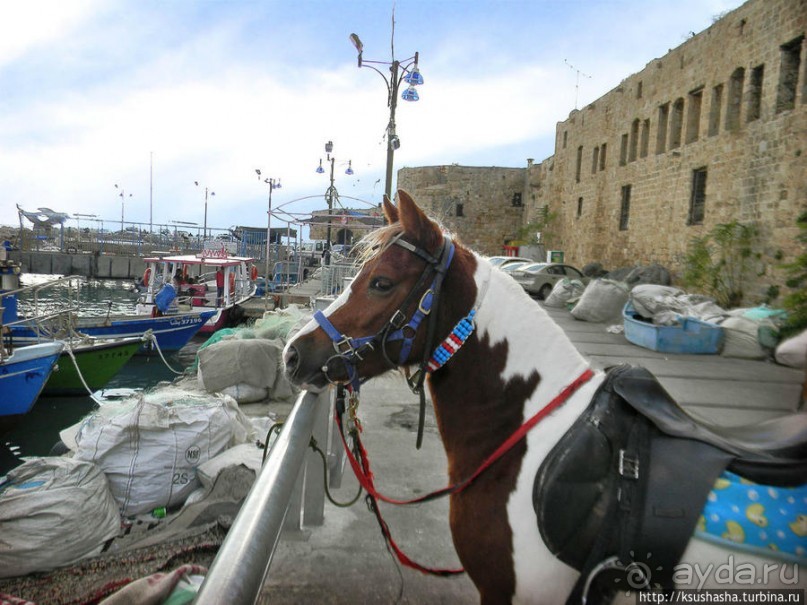 Новый год в цветущем лете, где-то 200 лет назад