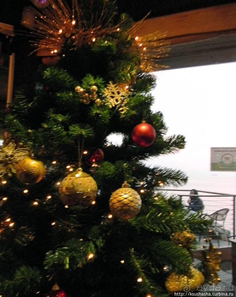 Новый год в цветущем лете, где-то 200 лет назад