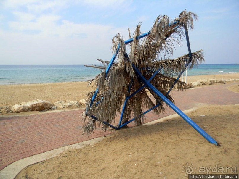 Новый год в цветущем лете, где-то 200 лет назад