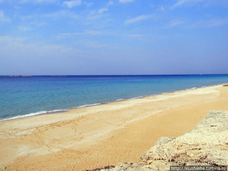 Новый год в цветущем лете, где-то 200 лет назад