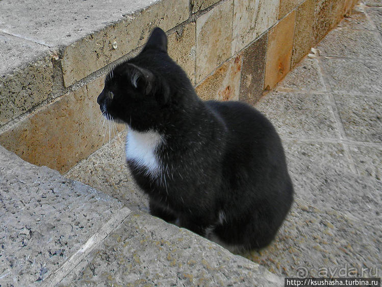 Новый год в цветущем лете, где-то 200 лет назад