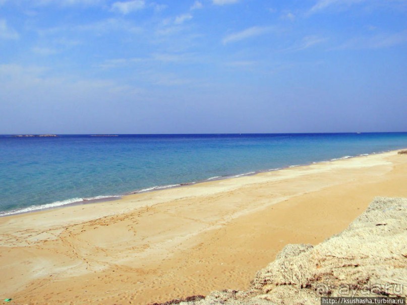 Новый год в цветущем лете, где-то 200 лет назад