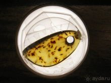 Рижский бальзам и балтийский янтарь