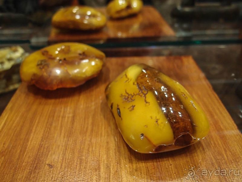 Рижский бальзам и балтийский янтарь