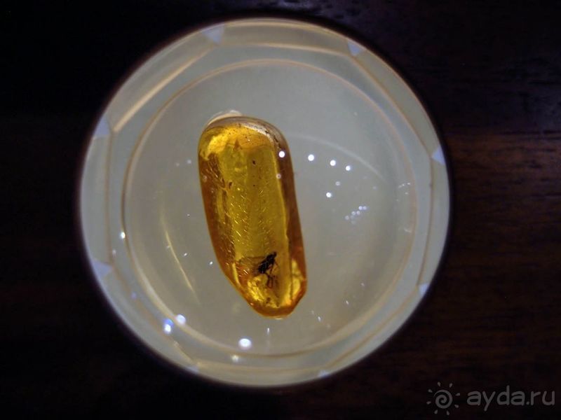 Рижский бальзам и балтийский янтарь