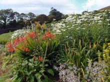 Аббатство Кайлемор