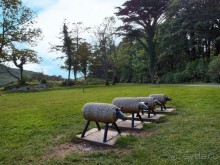 Аббатство Кайлемор