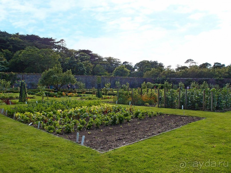 Аббатство Кайлемор