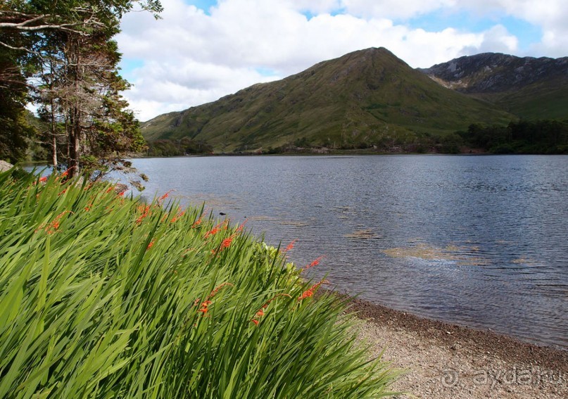 Аббатство Кайлемор