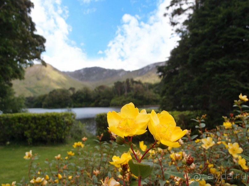 Аббатство Кайлемор