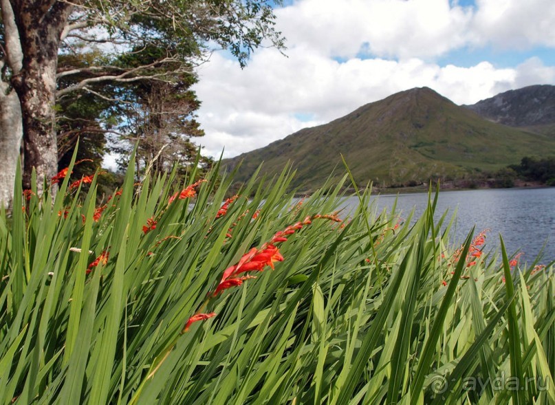 Аббатство Кайлемор