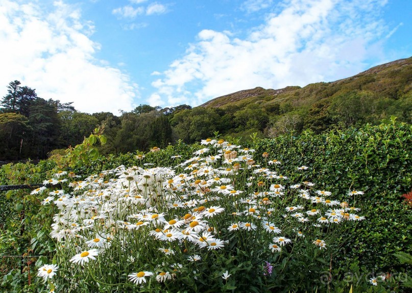 Аббатство Кайлемор
