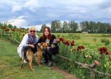 Город — кроликам, девочкам — цветы!