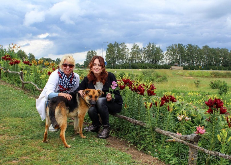 Город — кроликам, девочкам — цветы!