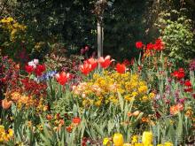 Сад, рождающий шедевры