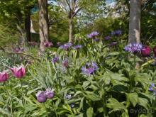 Сад, рождающий шедевры