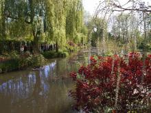 Сад, рождающий шедевры