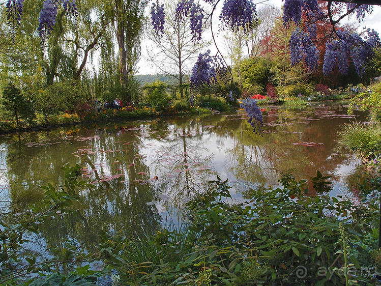 Сад, рождающий шедевры