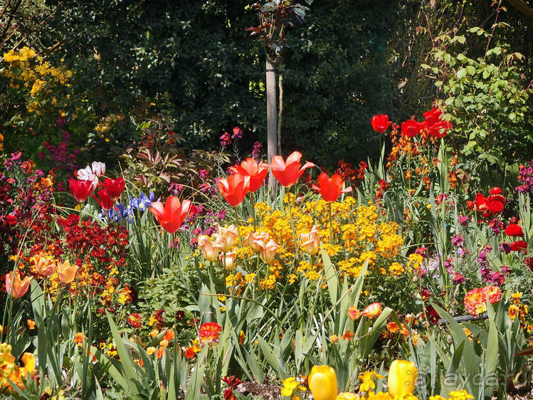 Сад, рождающий шедевры