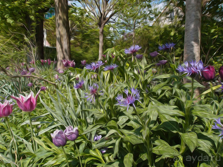 Сад, рождающий шедевры
