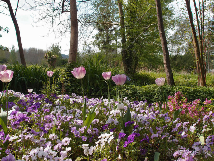 Сад, рождающий шедевры