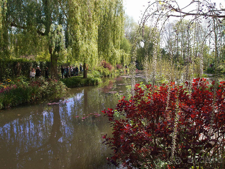 Сад, рождающий шедевры
