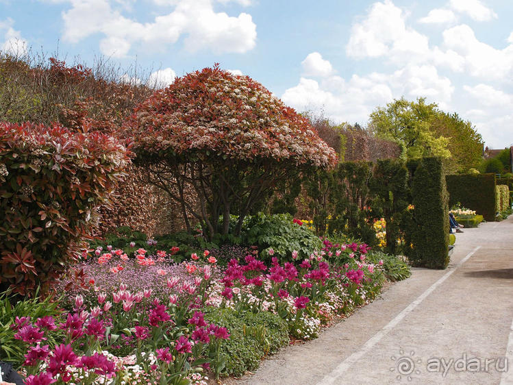 Сад, рождающий шедевры