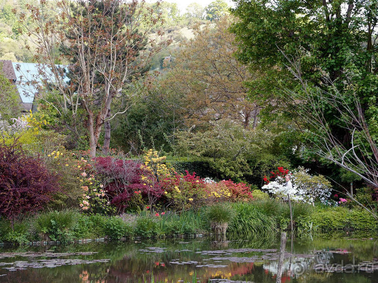 Сад, рождающий шедевры