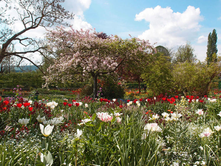 Сад, рождающий шедевры
