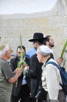 Прогулка в стенах Старого города