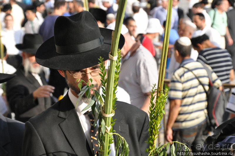 Прогулка в стенах Старого города