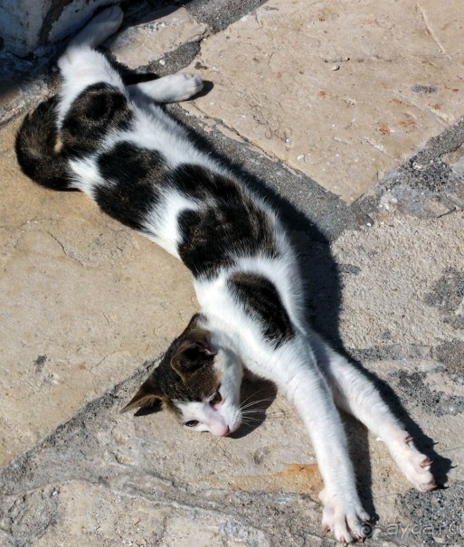 Самолет летит в Канóни