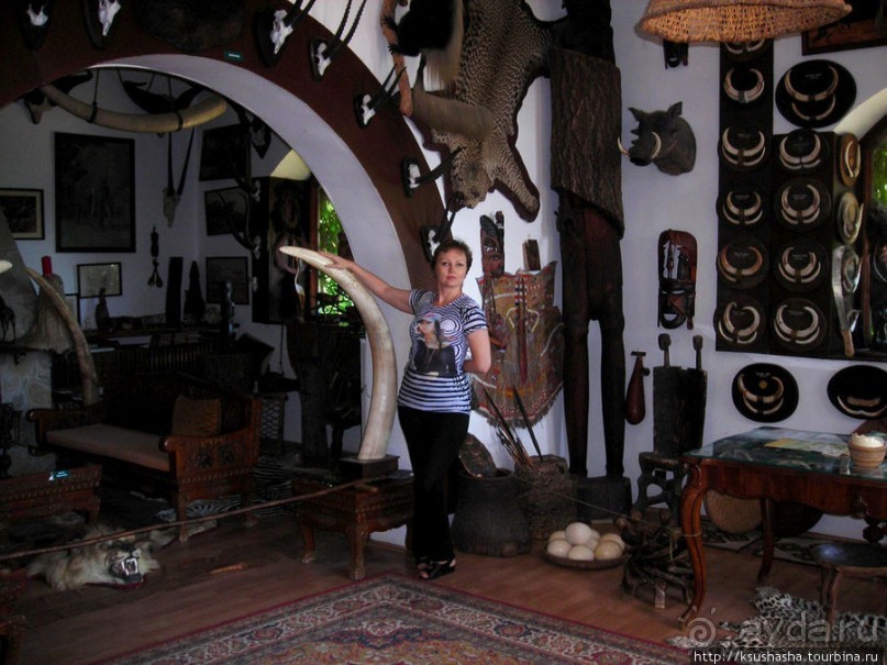 Музей Африки- трофеи заядлого охотника