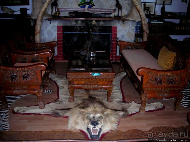 Музей Африки- трофеи заядлого охотника