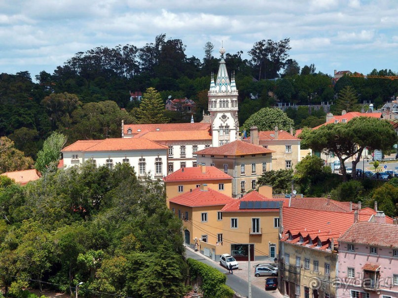 Про королевских сорок, мавританский замок и креветочный суп